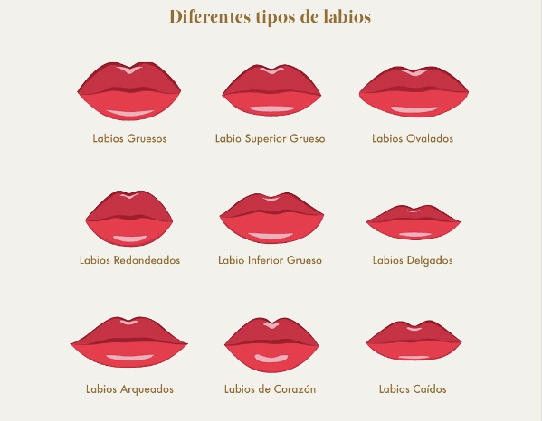 Diferentes tipos de labios en imágenes